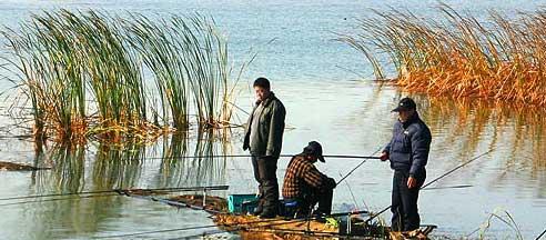 丹江湖钓鱼技巧大全（掌握精湛技巧，畅享丰收乐趣）