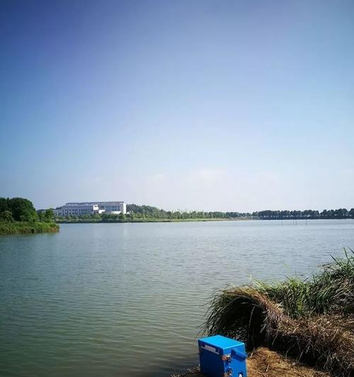 丹江湖野钓技巧（掌握丹江湖野钓技巧，尽享垂钓乐趣）