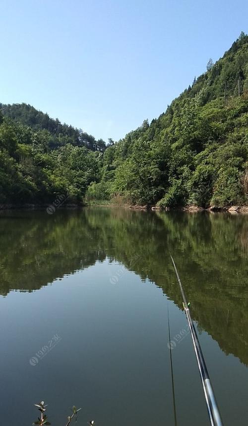 丹江秋天钓鱼技巧（探秘丹江秋日最佳钓鱼技巧）