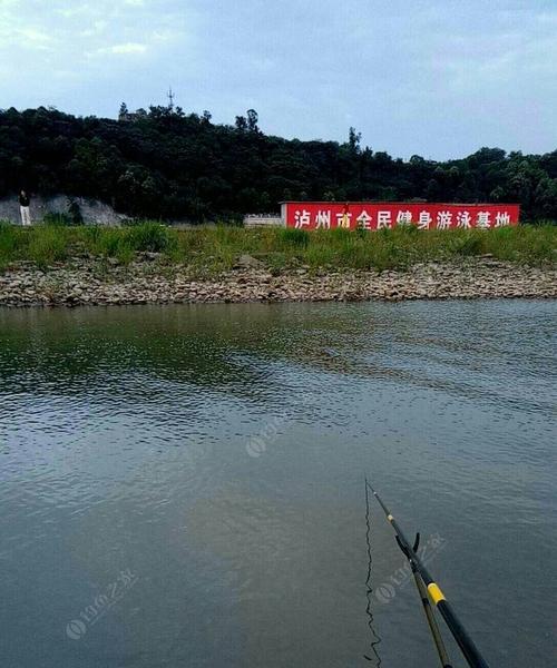 丹江退水钓鱼技巧（掌握这一技巧，轻松享受丹江退水的钓鱼乐趣）