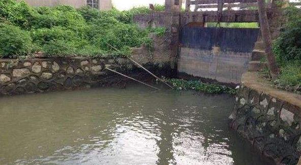 淡水河钓鱼技巧（掌握平原淡水河钓鱼的关键要素）