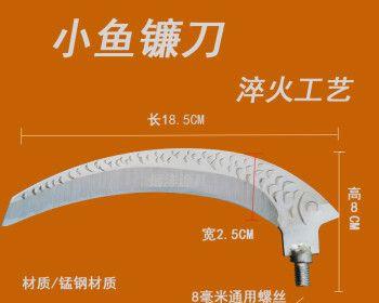 掌握刀钓鱼的技能与技巧（轻松捕获丰富的水生物，提升钓鱼乐趣）