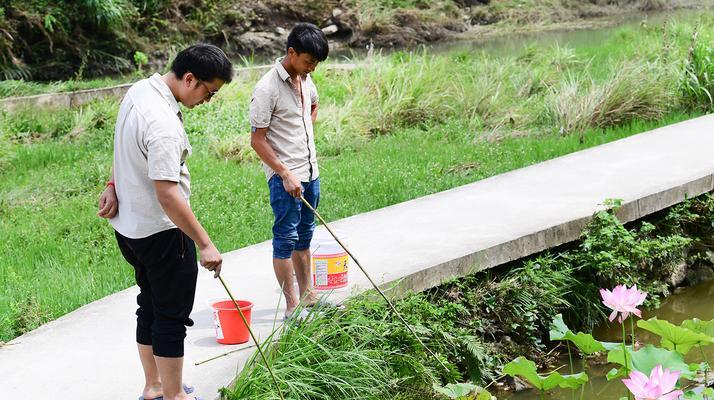 稻田边钓鱼技巧教程（享受自然乐趣，掌握捕鱼绝技）