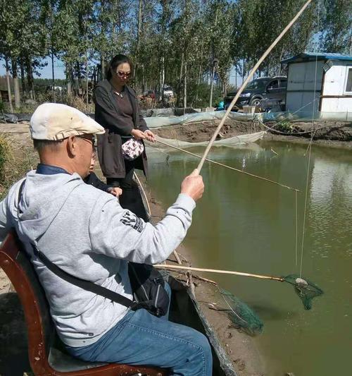 稻田地里钓鱼技巧教程（稻田钓鱼的乐趣与技巧）