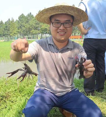 稻田钓鱼技巧大揭秘（稻田钓鱼的必备技巧与经验分享）