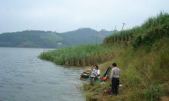 稻田野钓鱼技巧大揭秘（稻田野钓鱼的精华经验分享）