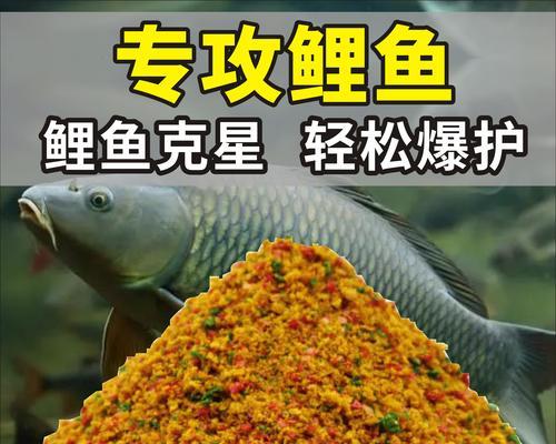 地瓜在钓鱼饵料中的使用技巧（掌握地瓜钓鱼，提升钓鱼成功率）