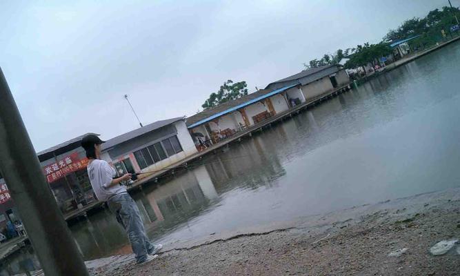 堤坝边钓鱼技巧大揭秘（钓鱼达人教你如何在堤坝边获得丰收）