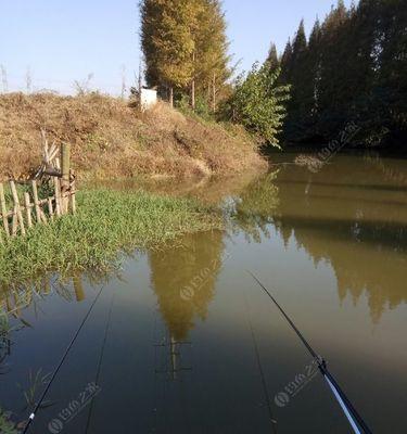 电工水域钓鱼技巧（掌握关键细节轻松提升钓鱼水平）