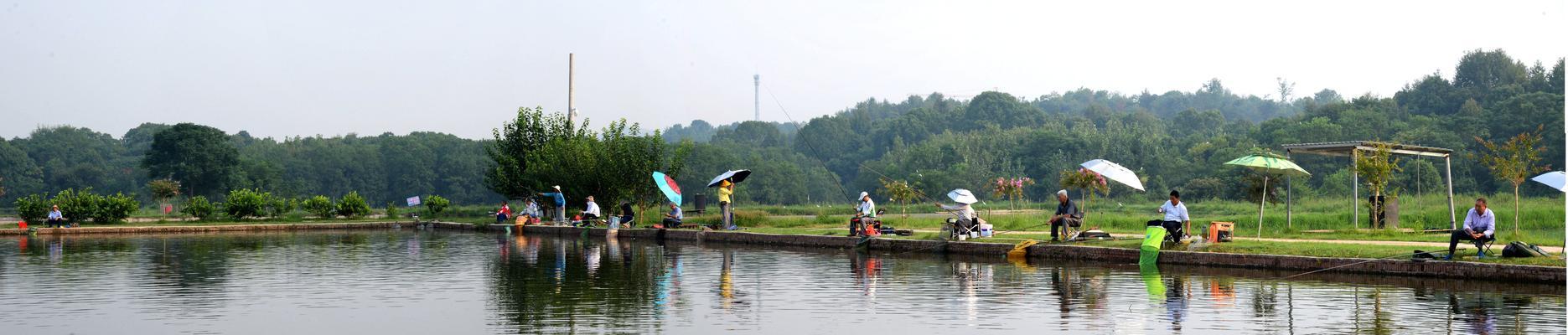 电视钓鱼技巧大揭秘（钓鱼策划方法与技巧，让你成为钓鱼高手）