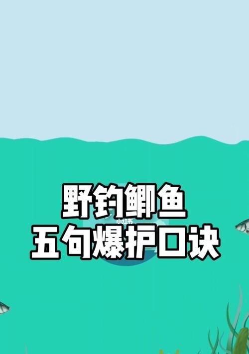 南方钓鱼的方法与技巧（掌握南方钓鱼口诀，技法更上一层楼）