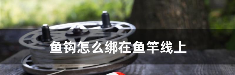 钓鱼竿绑钩技巧与方法（钓鱼竿绑钩的步骤和技巧，让你轻松捕获美味鱼群）