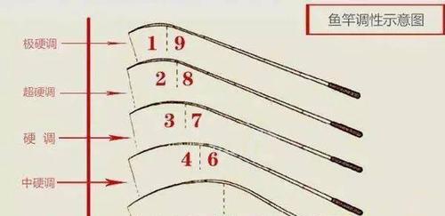 钓鱼竿的选购技巧与方法（如何选择适合自己的钓鱼竿）