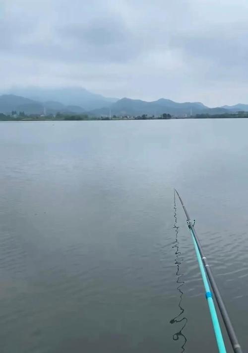 钓鱼技巧与方法小教程（学习如何成为高级钓鱼达人）