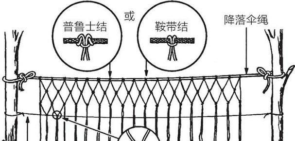 回形针钓鱼技巧（发现鱼群的关键一招，让你钓个痛快！）