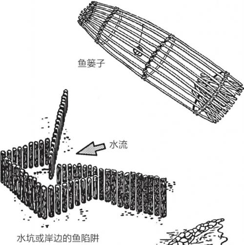 钓鱼技巧分享（快速学习回形针钓鱼的方法和技巧）