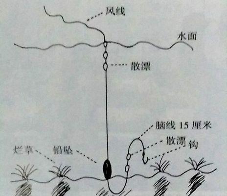 七星漂钓技巧教程（掌握七星漂钓技巧，提高钓鱼成功率）