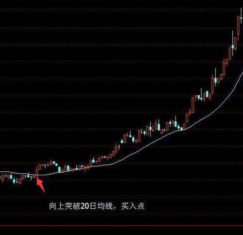 钓鱼技巧经典战法（掌握成功的关键，提升钓鱼技艺）