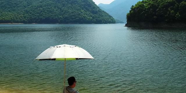 夏日钓鱼技巧（掌握钓鱼技巧，享受夏日钓鱼乐趣）