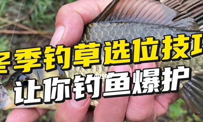 秋季钓鱼选择钓位很简单（掌握关键技巧，轻松找到合适的钓位）