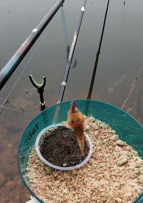 钓鱼高手教你如何有效地挂钩蚯蚓（掌握钓鱼技巧，让蚯蚓成为致命的诱饵）