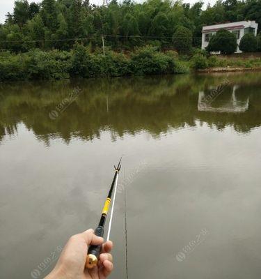 钓鱼拉饵调漂技巧（掌握有效钓鱼技巧，提升钓鱼成功率）