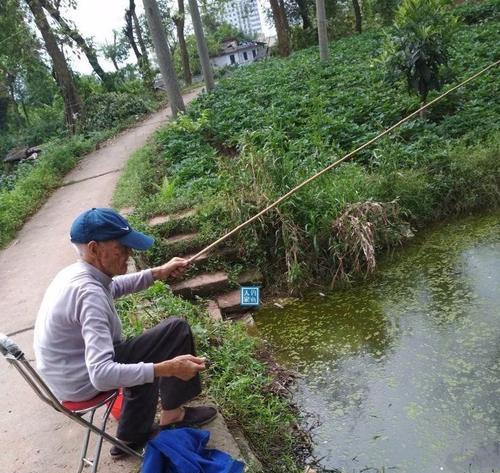 提高钓鱼技巧，享受钓鱼棚的乐趣（掌握钓鱼棚技巧，轻松钓到丰盛的渔获）