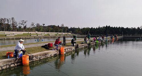 农场钓鱼新手技巧大全（学会这些技巧，让你在农场钓鱼游刃有余）