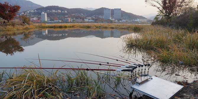 钓鱼技巧大揭秘（以钓鱼用筏竿水库钓鱼技巧为主题，让你轻松成为高手）