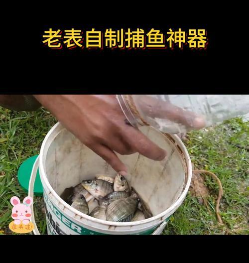 钓鱼达人教你用塑料瓶抓鱼的技巧（自制鱼饵塑料瓶，让钓鱼更省钱）