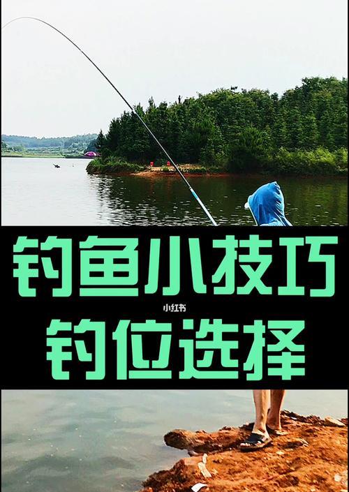 钓鱼的经典小技巧（提升钓鱼技巧的15个关键要点）