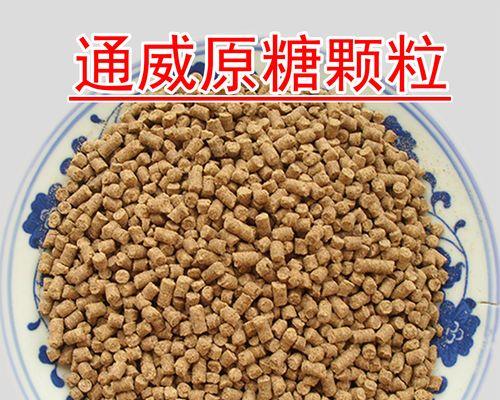 冬季垂钓技巧与打窝用饵指南（提高钓鱼效果的关键技巧与饵料选择）