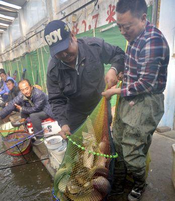 冬季大棚钓鱼（寻找理想钓位、提升冬季钓鱼效果的关键是什么）