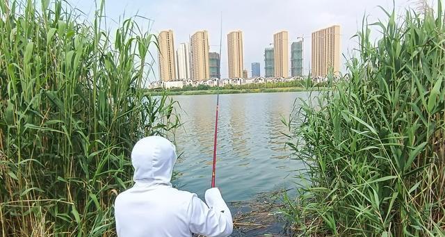 冬季钓鱼调漂技巧搓饵方法大揭秘（寒冷冬季）