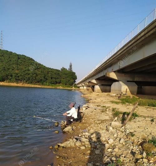 冬季钓鱼换位技巧教学（掌握换位技巧）