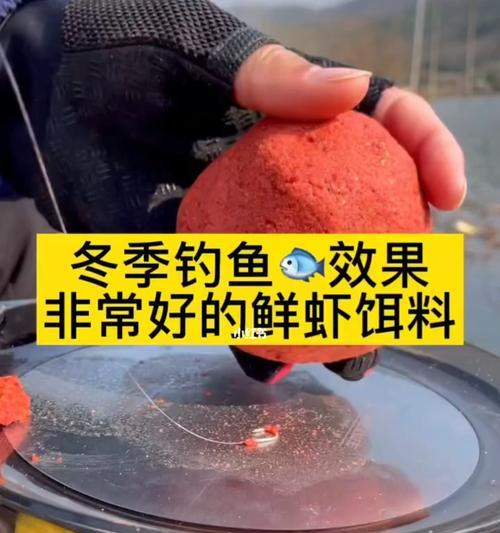 寒冬中的钓鱼乐趣（冬季钓鱼技巧大揭秘）