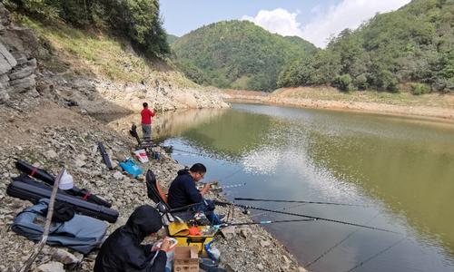 冬季钓鱼水库野钓技巧（冬季水库野钓）