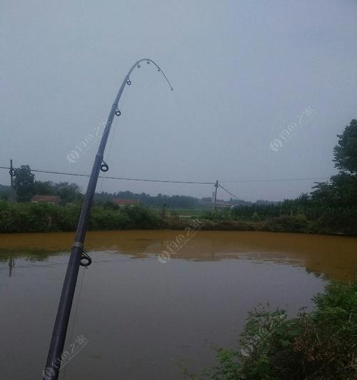 冬季河流钓鱼技巧（寒冬中的河流钓鱼乐趣）