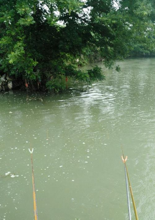 冬季河流钓鱼技巧（冬季河流钓鱼技巧大揭秘）