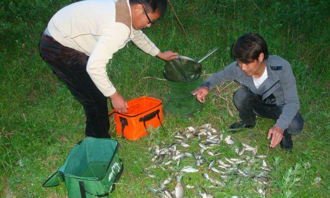 冬季黑坑钓鱼技巧与方法教程（寒冷季节提高钓鱼成功率的实用技巧与方法）