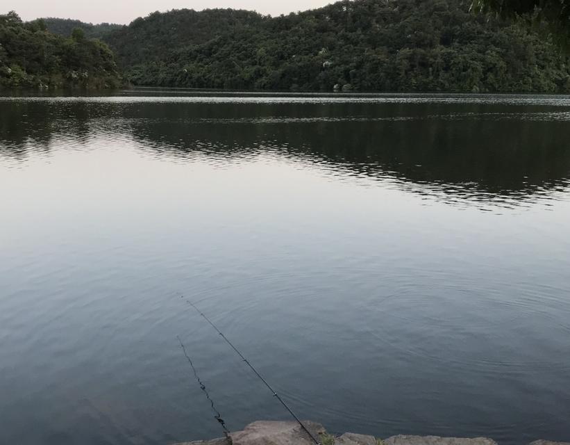 冬季矶钓竿钓鲫鱼的技巧（冬季钓鲫鱼）