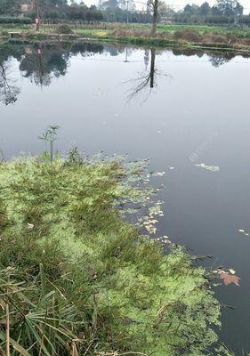 冬季流水河钓鱼技巧（寒冷季节下的流水河钓鱼攻略）