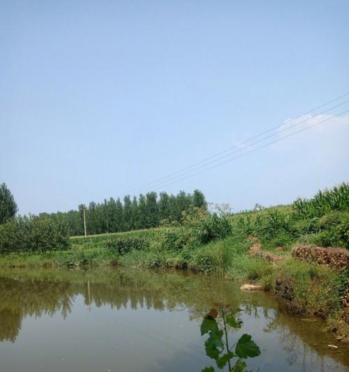 冬季流水河流钓鱼技巧（钓鱼专家分享的冬季流水河流钓鱼技巧）