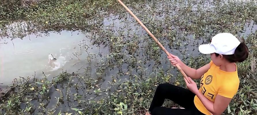 冬季闷竿流水钓鱼技巧（寒冬冷水）