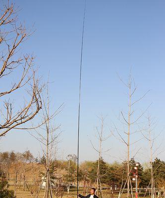 冬季炮竿野钓鲫鱼技巧与方法（冬季炮竿野钓鲫鱼的秘诀与经验）