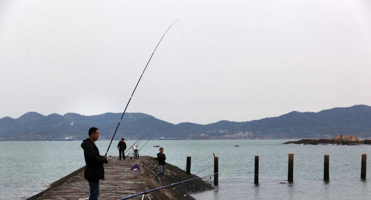 冬季浅水野钓技巧（冬季浅水钓鱼的技巧和策略）