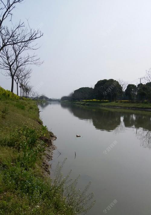 冬季流水钓鲤鱼技巧（寒冬冰雪中的温暖收获）