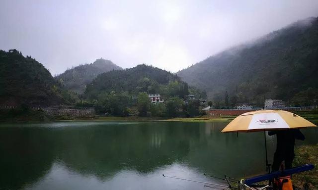 冬季流水钓鲤鱼技巧（寒冬冰雪中的温暖收获）