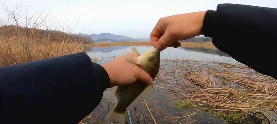 冬季钓鱼技巧（冬季钓鱼技巧大揭秘）