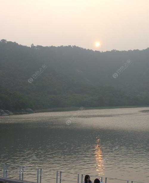 冬夜钓水库大青技巧（水库大青钓技巧大揭秘）